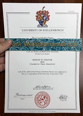 University of Stellenbosch Degree Certificate 289x400 Samples