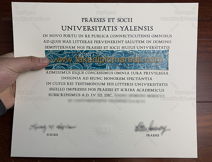 Yale University Fake Diploma How To Get A Fake Yale University Latin Diploma layout?