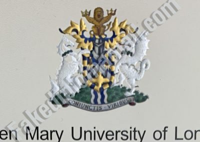 QMUL Emblem 400x284 Emblems