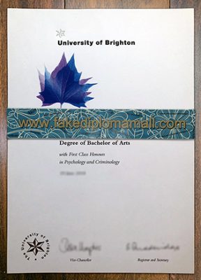 University of Brighton Degree Certificate in Psychology and Criminology 288x400 Samples