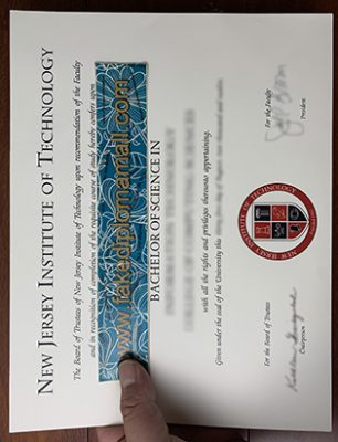 NJIT BSc Degree Certificate 306x400 Samples