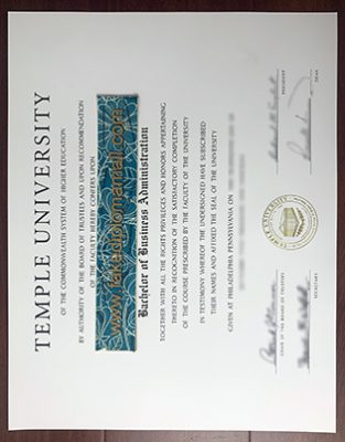 Temple University Degree Certificate 313x400 Samples