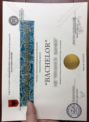 Albanian University Fake Degree 290x400 Samples