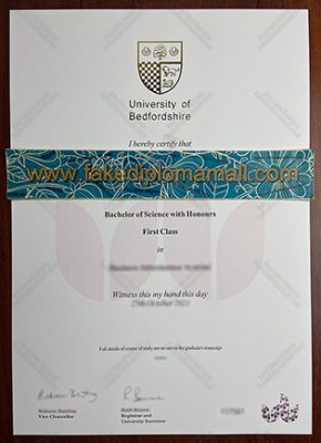 University of Bedfordshire Fake Degree 290x400 Samples