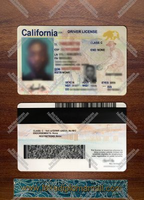 Buy CA Driver License 288x400 Samples