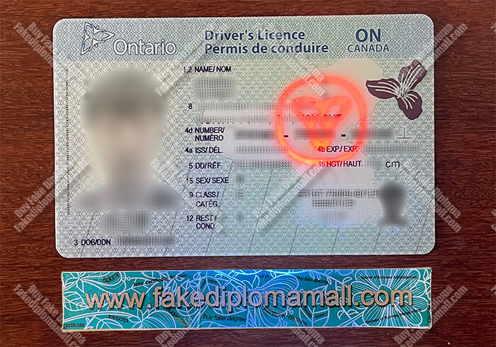 Canada Driver's Licence