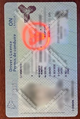 Where to Order a Fake Canadian Driver’s Licence, Ontario Fake ID