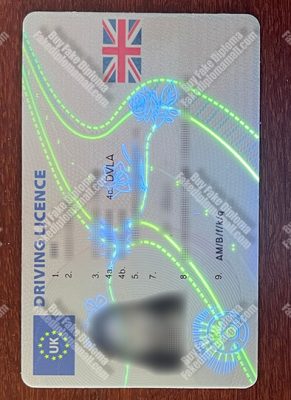 Fake UK Driving Licence 291x400 Samples