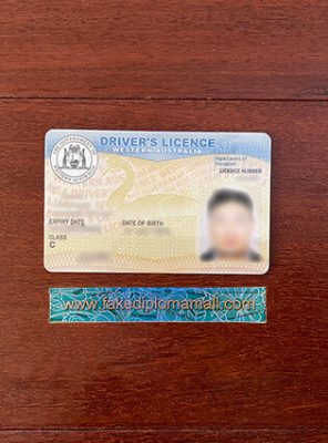 Fake WA Drivers Licence 296x400 Samples
