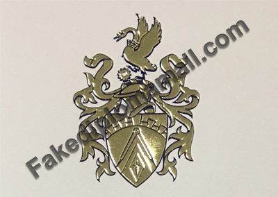 Brunel University London Golden Emblem 400x284 Emblems