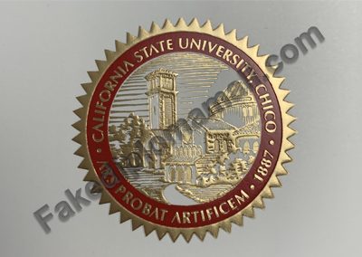 Cal State Chico Golden Seal