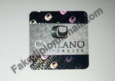 Capilano University Hologram 400x284 Emblems