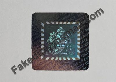 UCEM Hologram 400x284 Emblems