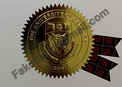 University of Calgary Golden Seal