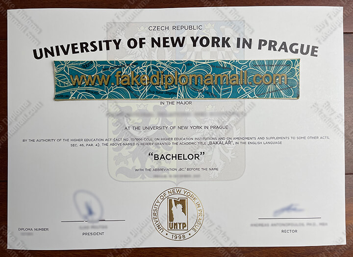 UNYP Fake Diploma
