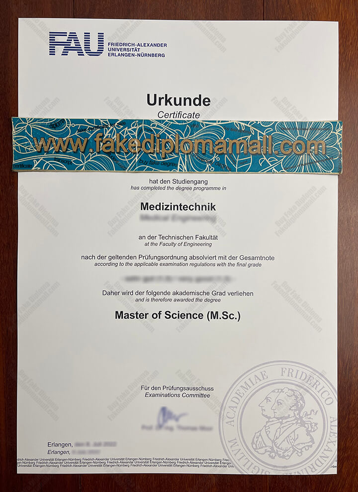 Friedrich-Alexander-Universität Erlangen-Nürnberg Diploma, FAU Fake Degree