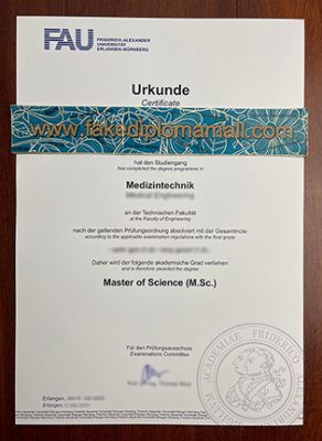 Friedrich Alexander Universität Erlangen Nürnberg Fake Degree 292x400 Samples