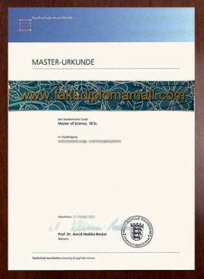 Universitat Mannheim Master Urkunde 293x400 Samples
