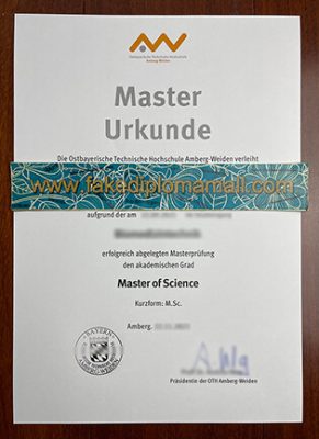 OTH Amberg Weiden Fake Certificate 291x400 Home