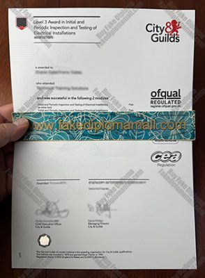 CG 2391 Electrical Inspection and Testing Certificate 294x400 Samples